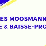 Sparen für die nächste Kapitalmarktkrise: Des Moosmanns Krise & Baisse-Projekt